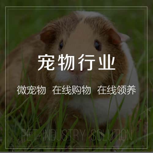 淮安宠物