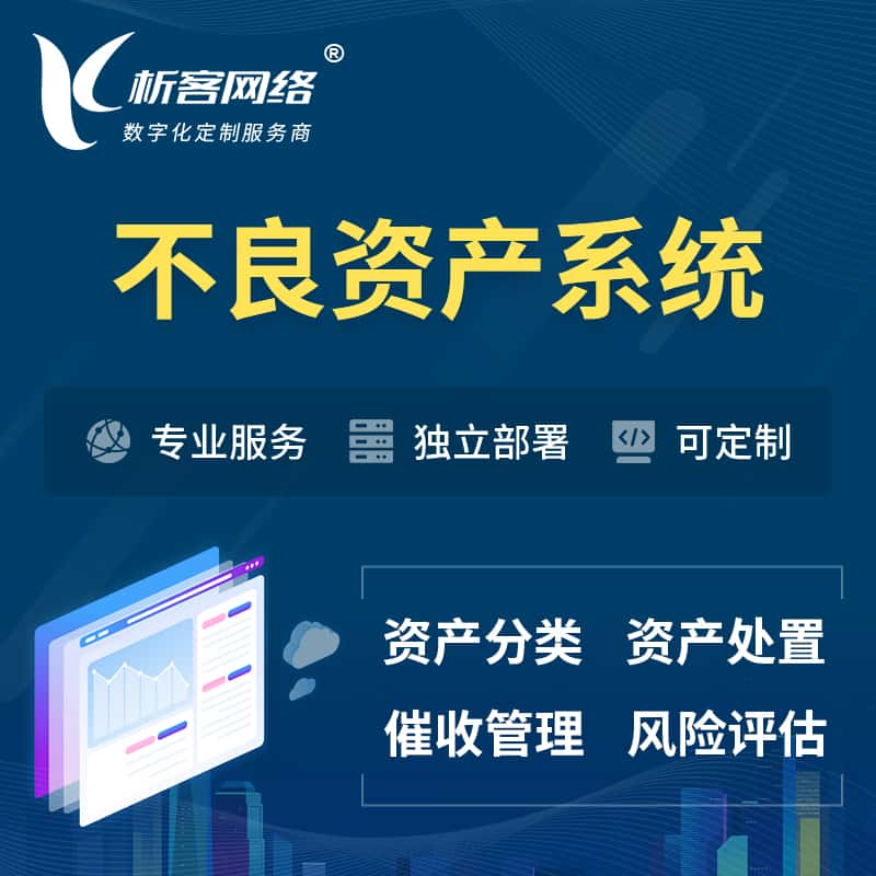 淮安不良资产管理系统