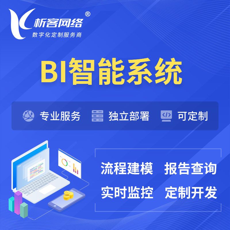 淮安BI智能系统 | BI数据可视化